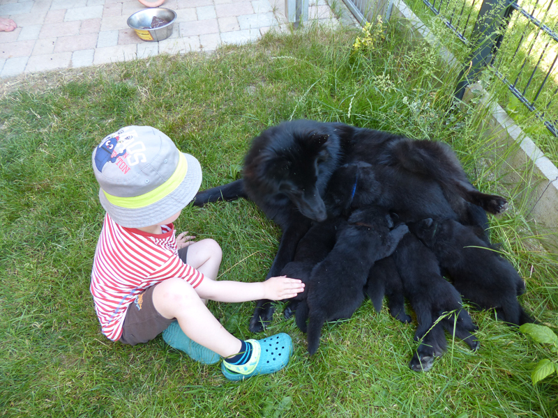 Kind mit Welpen
